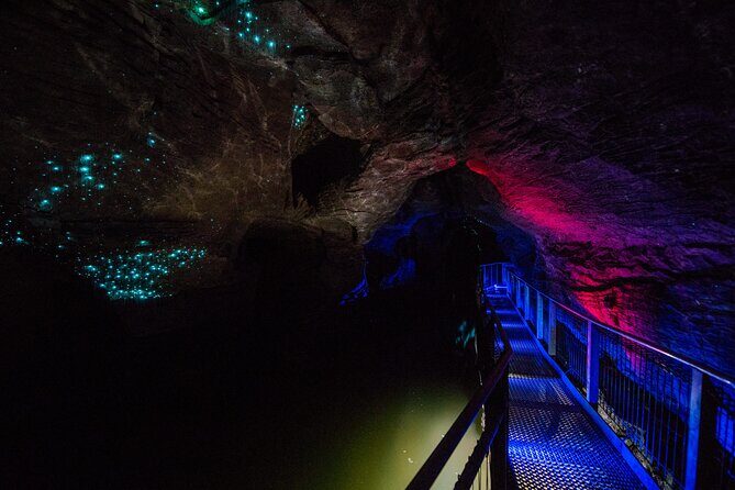 Waitomo Glowworm & Ruakuri Twin Cave - Private Tour From Auckland - Why this Waitomo day trip works without a car