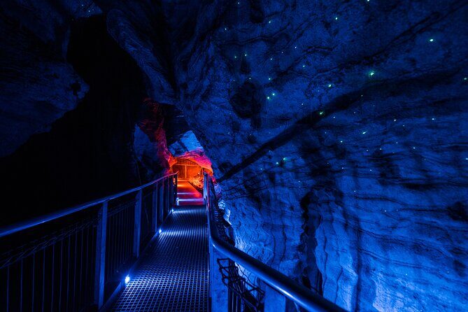Waitomo Glowworm & Ruakuri Twin Cave - Private Tour From Auckland - Getting out of Auckland: morning start and comfort stops