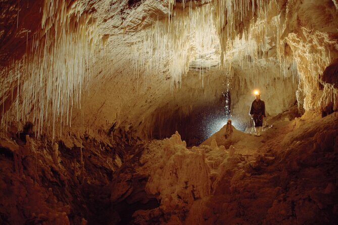 WAITOMO - Twin Caves Discovery - Private Day Tour from Auckland - Waitomo Twin Caves: Two Glowworm Experiences in One Day