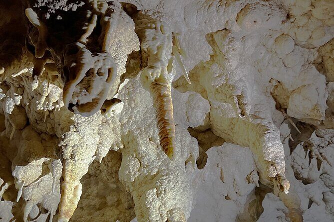 WAITOMO - Twin Caves Discovery - Private Day Tour from Auckland - Waitomo Glowworm Caves: Boat Ride Magic and Guided Limestone Time