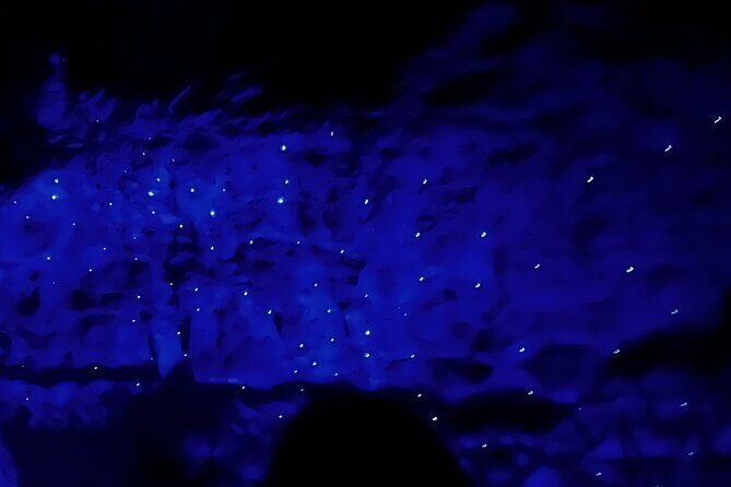 WAITOMO - Twin Caves Discovery - Private Day Tour from Auckland - Ruakuri Cave: Spiral Descent, Underground River Vibes, and Close-Up Glowworms