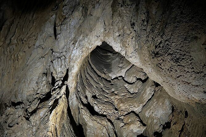 WAITOMO - Twin Caves Discovery - Private Day Tour from Auckland - Who This Tour Suits Best (and Who Might Want Alternatives)