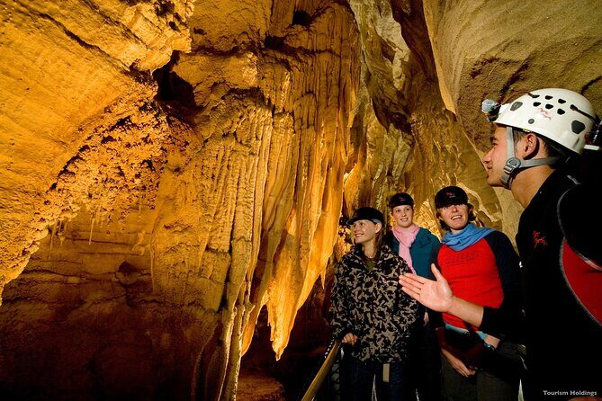 WAITOMO - Twin Caves Discovery - Private Day Tour from Auckland - Price and Logistics: What You’re Paying For at $482.19