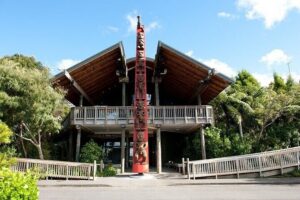West Coast Discovery Piha Beach Private Tour - Private Pickup, Real-Time Convenience, and WiFi That Helps